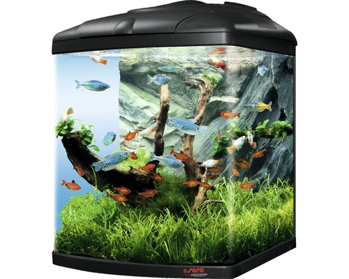 Aquarium d'eau douce sera Biotop Cube 130 XXL