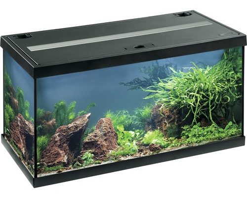 Aquarium EHEIM aquastar 54 mit LED-Beleuchtung, Innenfilter, Heizer,  Thermometer ohne Unterschrank schwarz - HORNBACH
