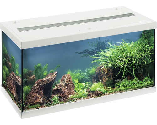 Aquarium EHEIM aquastar 54 avec éclairage à LED, filtre intérieur, chauffage, thermomètre sans meuble bas blanc