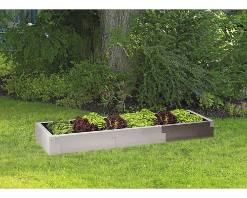Jardinière surélevée en plastique avec des plants de salade dans le jardin