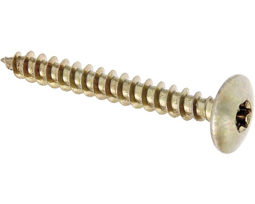 Holzschraube TX 6x50 mm galv.verzinkt 4 Stück Einzelne Schraube mit Torx-Antrieb