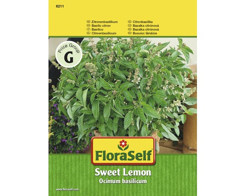 Basilic citron 'Sweet Lemon' FloraSelf semences stables semences de fines herbes