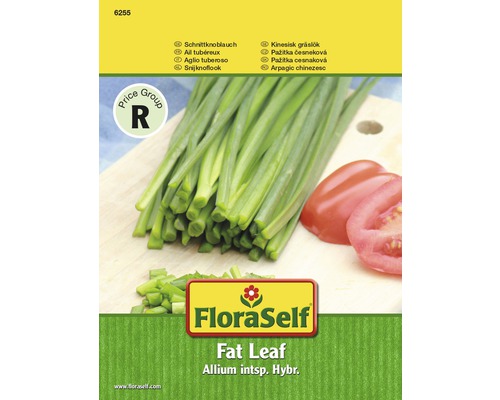 Ciboulette 'Fat Leaf' FloraSelf semences stables semences de fines herbes