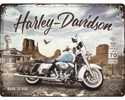 Plaque en tôle Harley-Davidson 30x40 cm