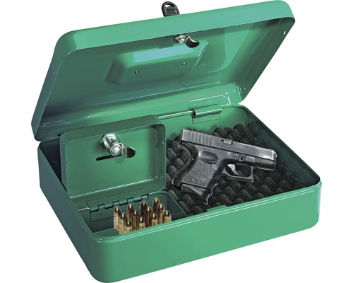 Rottner Pistolenkassette 300x240x90 mm grün