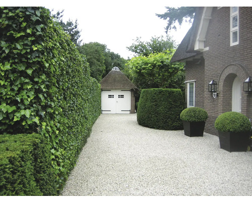 Aussenansicht eines Hauses mit Hecken, Pflanzen in Töpfen und einem Carport