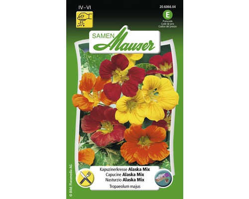 Kapuzinerkresse Alaska Mix Blumensamen Samen Mauser