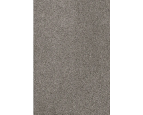 Spannteppich Kräuselvelours Proteus grau-beige 400 cm breit (Meterware)