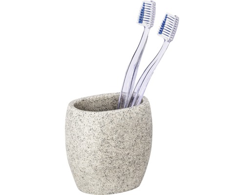 Porte-brosses à dents avec deux brosses à dents