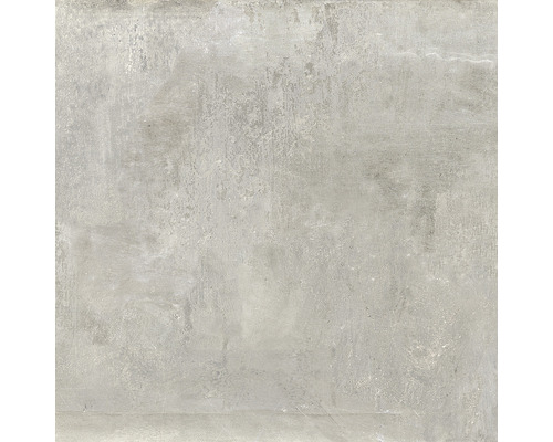 Carrelage mur et sol Cult grey 81x81 cm