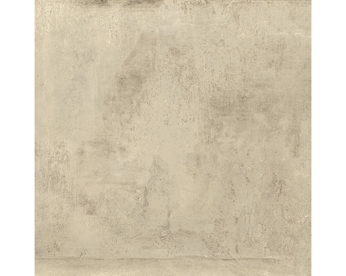 Carrelage mur et sol Cult beige 81x81 cm