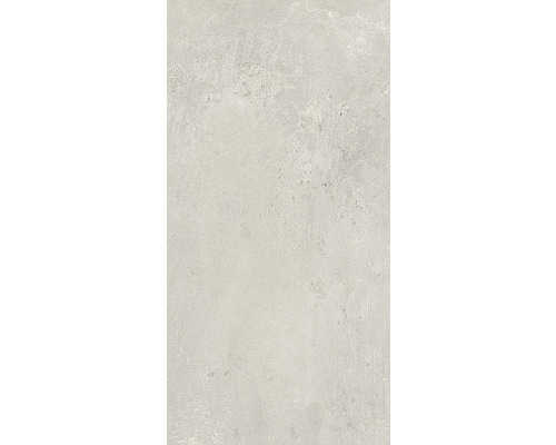 Wand- und Bodenfliese Cult white 30x60 cm