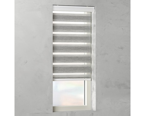 Fenster mit grau-weissem Duo-Rollo zur Fensterdekoration und Lichtregulierung