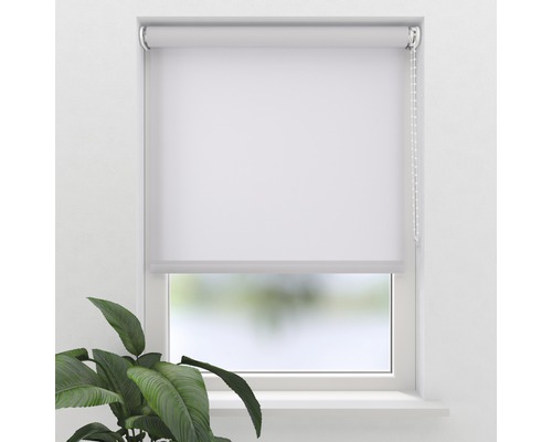 Rollo am Fenster mit Kettenzug und Pflanze