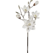 Branche de magnolia décorative avec fleurs et boutons