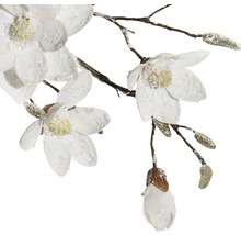 Branche de magnolia décorative avec fleurs et bourgeons blancs
