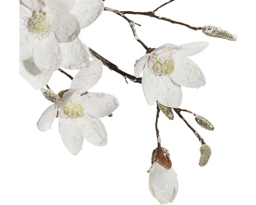 Branche de magnolia décorative avec fleurs et bourgeons blancs