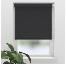 SOLUNA Tageslichtrollo Eco Essence E3, dunkelgrau, 120x190 cm