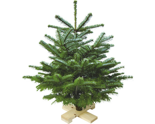 Nordmanntanne auf Holzkreuz H 80-100 cm geschlagener Weihnachtsbaum aus nachhaltigem Anbau Nordmanntanne auf Holzkreuz H 80-100 cm geschlagener Weihnachtsbaum aus nachhaltigem Anbau