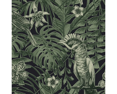 Papier peint intissé 37210-1 Jungle vert-noir Papier peint avec motif de jungle, comprenant des perroquets, des feuilles et des fleurs