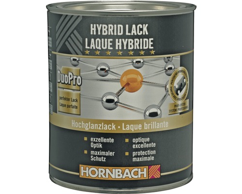 Dose Hybridlack Hochglanz von Hornbach