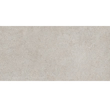 Feinsteinzeug Wand- und Bodenfliese SASSI arena 45x90 cm