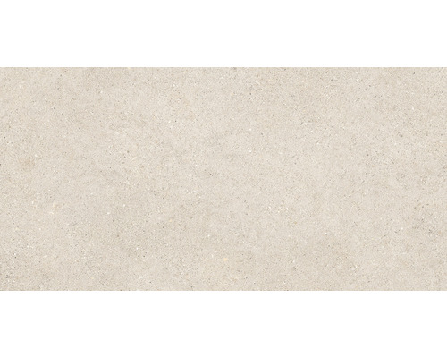 Carrelage sol et mur en grès cérame fin SASSI beige 45x90 cm
