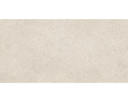 Feinsteinzeug Wand- und Bodenfliese SASSI beige 45x90 cm