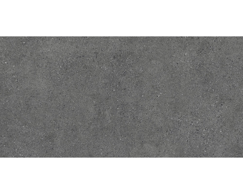 Carrelage sol et mur en grès cérame fin SASSI marengo 45x90 cm