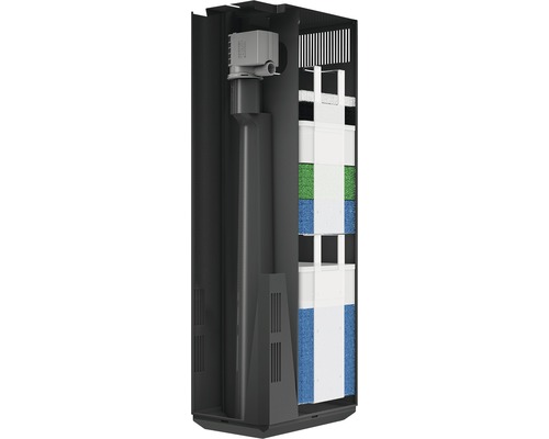 Vue intérieure d''un aquarium avec système de filtration