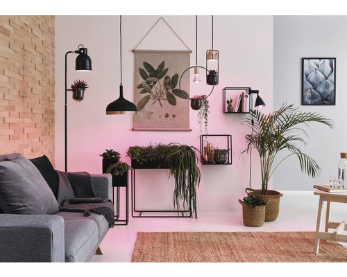 Salon avec canapé, lampadaire, suspensions, étagères murales et plantes d''intérieur