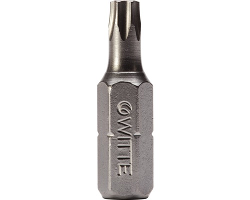 Embout acier inox Witte ¼" 25 mm Torx T 30