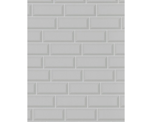 Carreaux muraux clairs de format rectangulaire, disposés en briques.