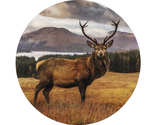Tableau en métal alu Deer In A Field Ø 98 cm
