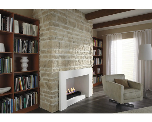 Salon avec cheminée, bibliothèques et fauteuil