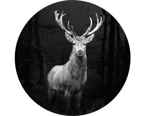 Tableau sur verre rond Grey Deer Head Ø 50 cm