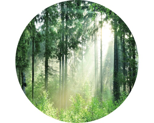 Glasbild rund Forest Harmony Ø 20 cm