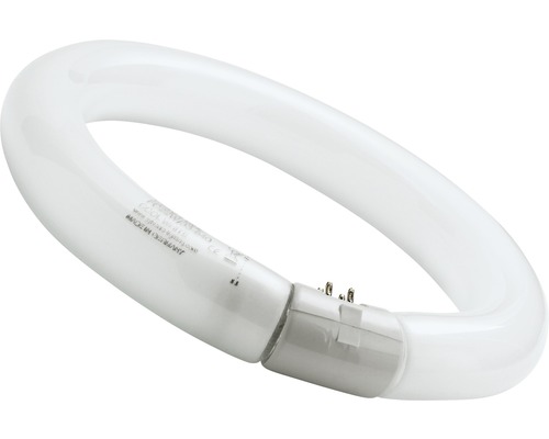 Tube fluorescent Sylvania forme d'anneau G10Q T9/32 W Ø 299 mm blanc neutre Lampe fluorescente circulaire
