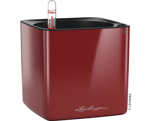 Pot de fleurs Lechuza Cube Glossy 16 x 16 x H 16 cm rouge avec système d’arrosage en terre bac d'arrosage substrat indicateur de niveau d’eau