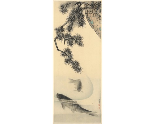 Papier peint panoramique intissé V2-762 Koi 2 pces 100 x 250 cm