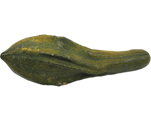 Courge décorative de forme allongée