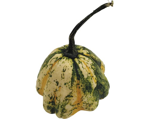 Pâtisson
