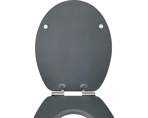 Abattant de WC en plastique avec charnières