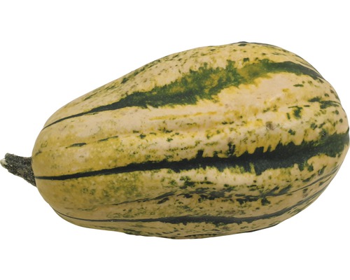 Courge comestible individuelle