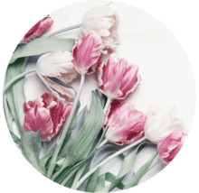 Nahaufnahme von Tulpen mit Wassertropfen