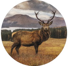 Dekoratives rundes Bild mit Hirsch vor Bergkulisse