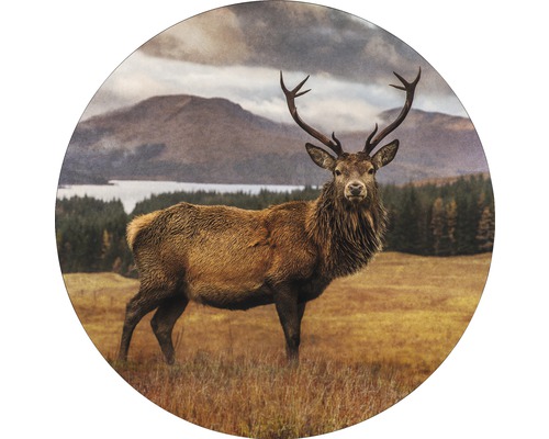 Tableau sur verre rond Deer In A Field Ø 20 cm