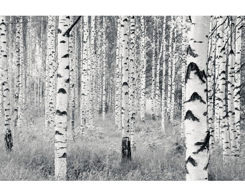 Papier peint panoramique intissé V8-724 Woods 8 pces 400 x 270 cm