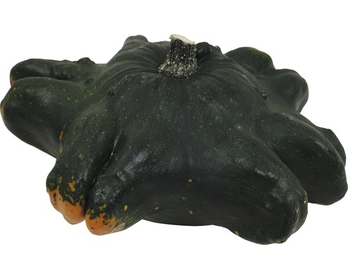 Courge d''ornement décorative