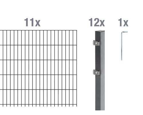 Doppelstabmatten-Set ALBERTS 6/5/6 2200 x 100 cm anthrazit